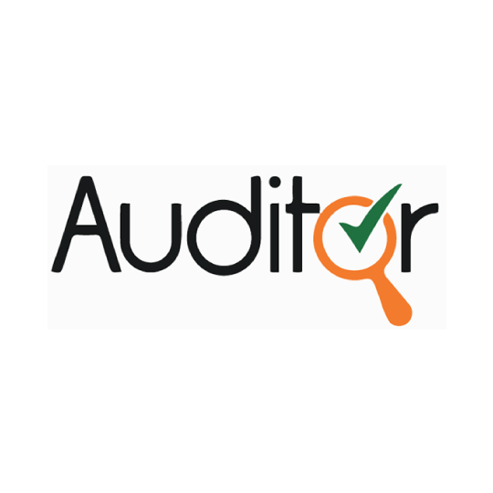 AUDITOR_Mesa de trabajo 1